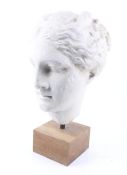 A plaster cast of a classical Greek/Roman head raised on a square wooden plinth.