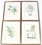 A set of four Harrod's Collectors Treasures botanical orchid antique prints.