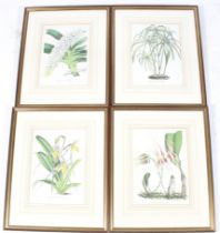 A set of four Harrod's Collectors Treasures botanical orchid antique prints.