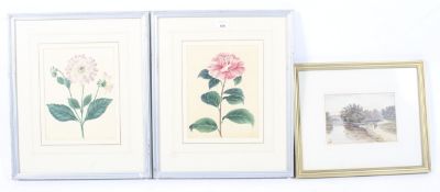 A pair of watercolours of flowers and a Victorian watercolour.