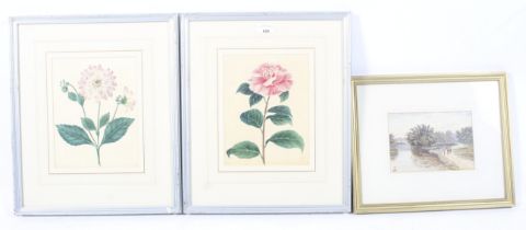 A pair of watercolours of flowers and a Victorian watercolour.