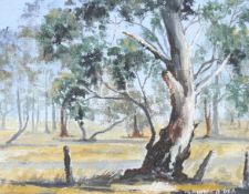 Dawn O'Dea, Australian, oil on canvas board, 'Old Gum Holbrook'.