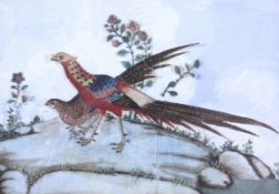 A 19th century layered watercolour of a pair of pheasants. 9.2cm x 13.2cm, framed and glazed.