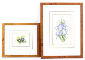 Bridgette James, 20th century botanical Illustrator, pair of watercolours.