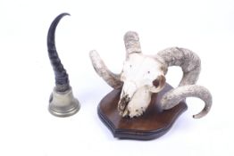 A ram's skull and a hand bell.