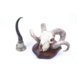 A ram's skull and a hand bell.