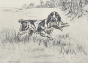 After Henry Wilkinson (1921-2011), etching, cocker spaniel framed and glazed #60/75,