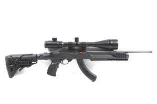 A Ruger 10-22 .22 calibre rifle.