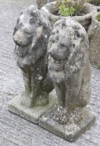 A vintage pair of reconstituted stone ornamental garden lions.