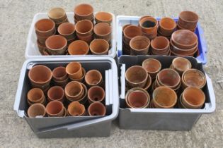 A large collection of assorted terracotta garden flower pots. In four crates, various sizes.