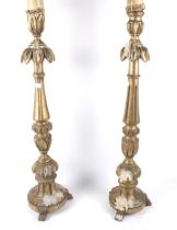 A pair of contemporary carved gilt wood candlesticks. With circular bases on three claw feet.