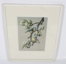 A limited edition Edwin Penny print of blue tits on a flowering branch.