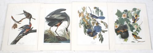 Four contemporary prints of birds, after 'Audobon'.