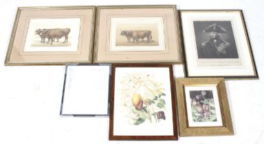 A collection of five assorted prints plus an empty frame.