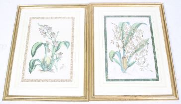 After James Bateman (1811-1897), a pair of reproduction 19th century botanical studies.
