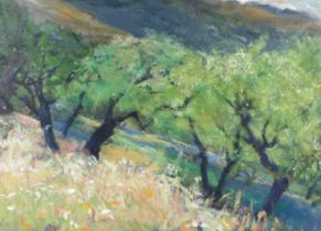 Bruce Killeen (1926-2014), oil on board, 'Olive Trees' and two books.