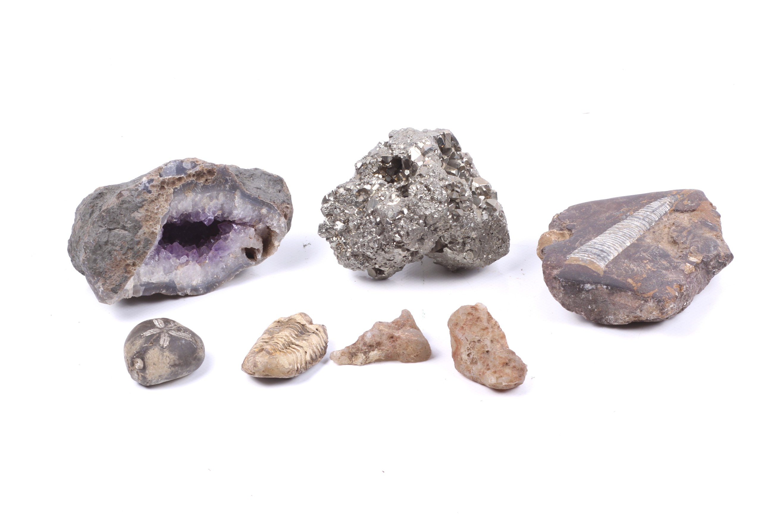 Group of assorted fossils and minerals. Including a pyrite cluster, geode and a trilobite, etc. Max.