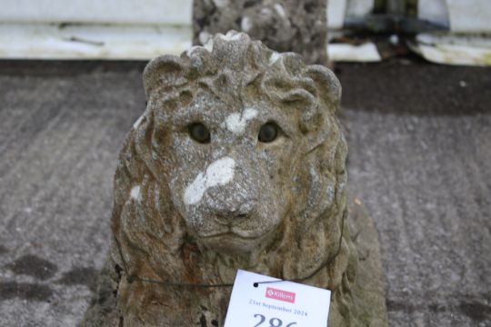 A pair of reconstituted stone lions. In a laying position, complete with eyes, L70cm approx. - Image 3 of 3