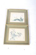 A pair of Chinese wood block floral prints. Framed and glazed.