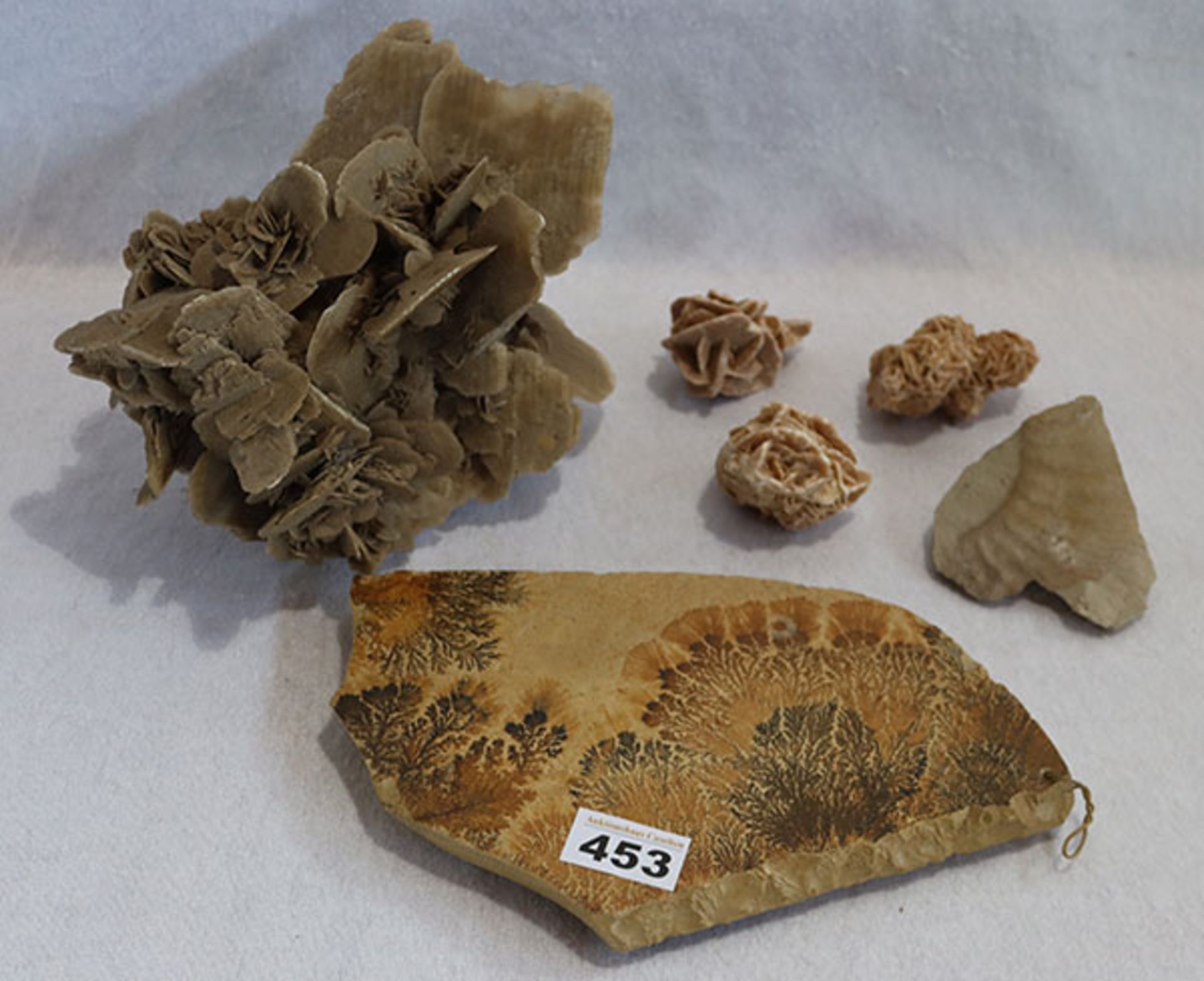 Mineralien Konvolut von Sandrosen, Dendriten-Platte aus dem Solnhofener Plattenkalk und