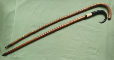 Two alpine walking sticks, one engraved 'Montreux', the other 'RIGI-KULM 1910'.