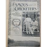 1894 & 1895 BOUND VOLUME OF FAMOUS CRICKETERS & CRICKET GROUNDS