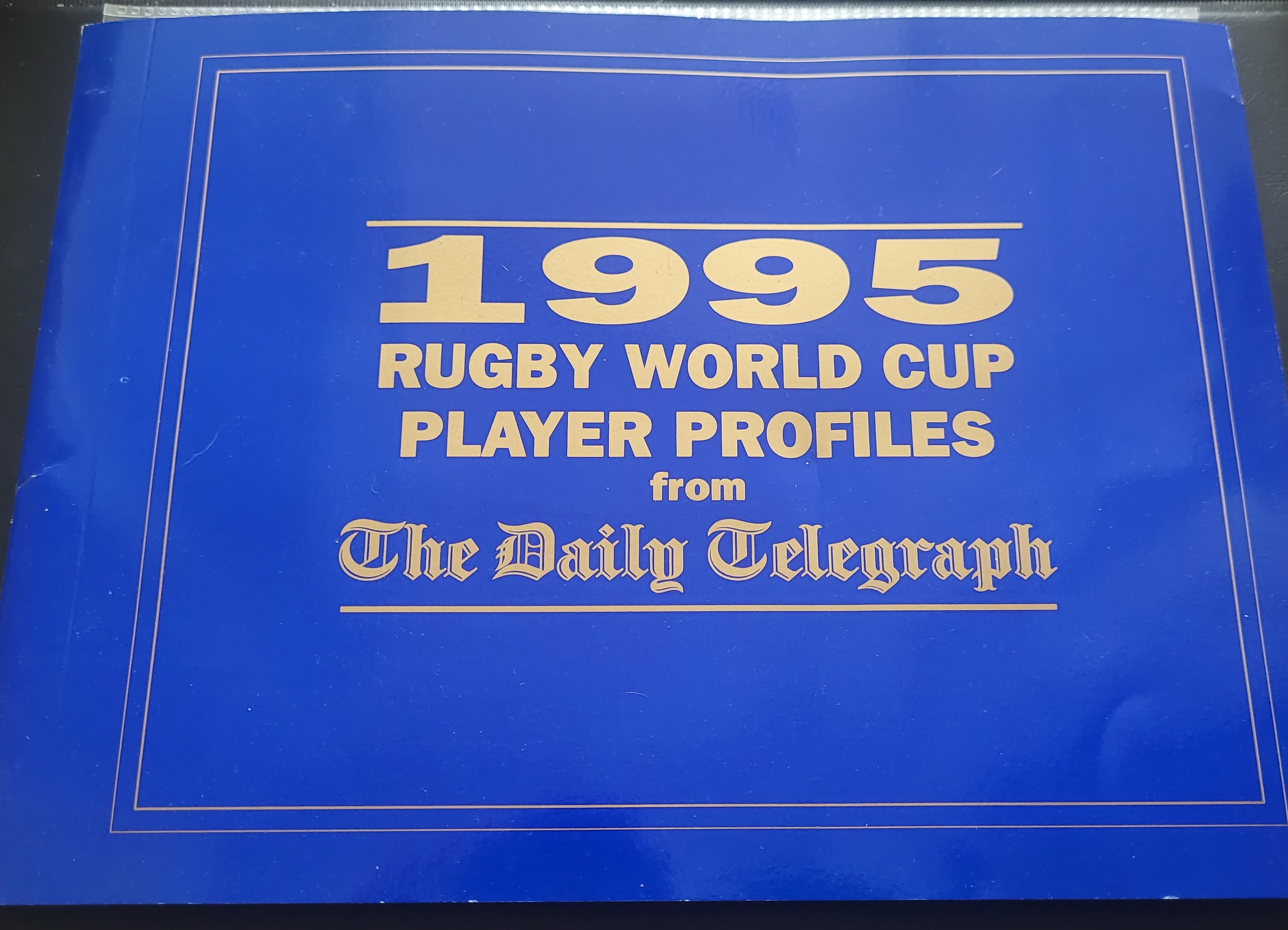 RUGBY UNION 1995 RUGBY WORLD PLAYER PROFILES CARDS ISSUED BY THE DAILY TELEGRAPH