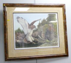 Limited edition signed print of a bird of prey by Christine Marshall,