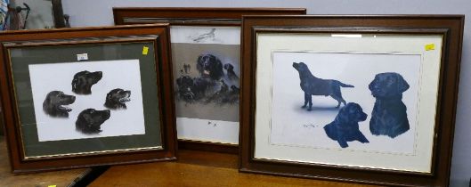 Three pictures of black Labrador Retrievers in matching frames