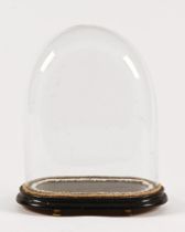 A Victorian glass dome on stand, suitable for a clock or taxidermy.