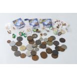 Bag of vintage coins and enamel pin badges including Cedric The Dragon and Millie The Millennium