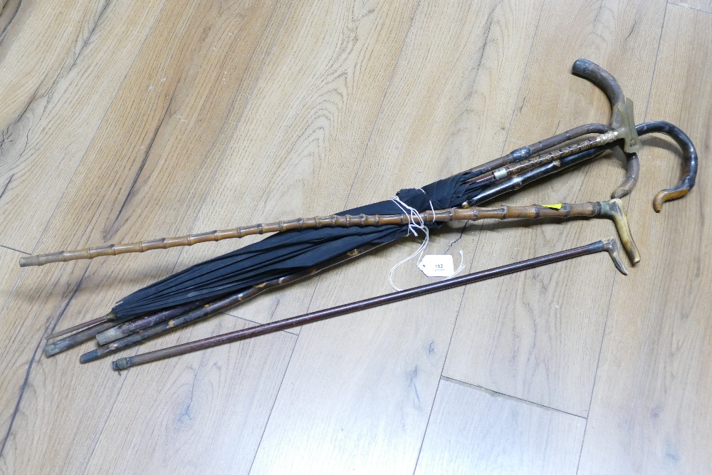 Bundle of walking sticks and umbrella