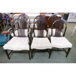 Six Hepplewhite style chairs with cream upholstery (two carvers,