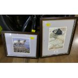 Two Alan Stones sheep prints,