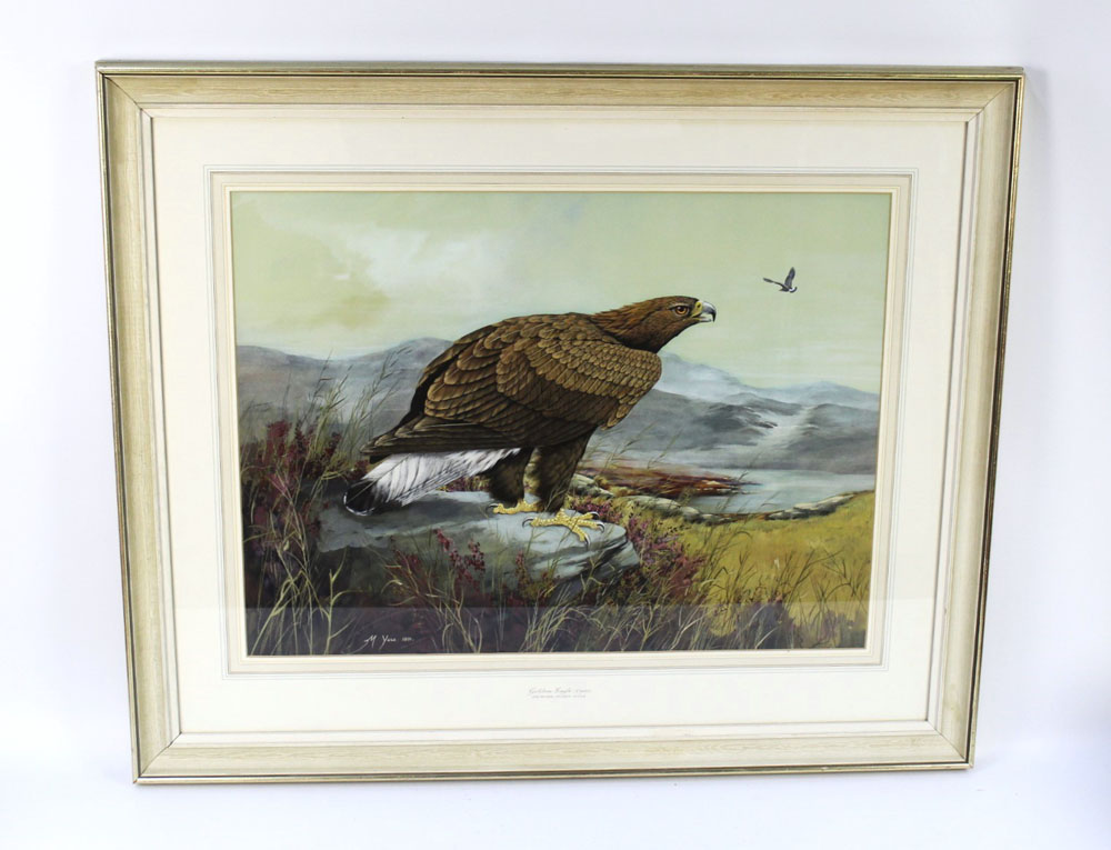 Michael James Yule, a watercolour gouache "Golden Eagle" first year dated 1971.