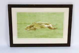 Francis Balckburn a signed limited edition print titled "Caledonian Cup" depicting greyhound and