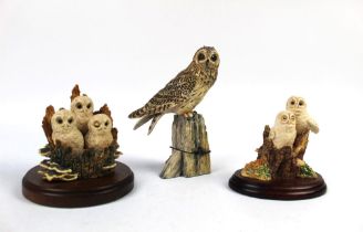 Border Fine Arts a model of a short eared owl, signed Ayres dated 1986,