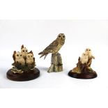 Border Fine Arts a model of a short eared owl, signed Ayres dated 1986,