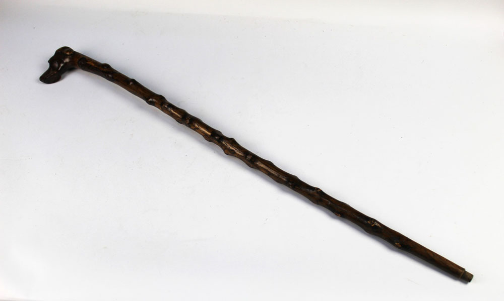 A walking stick with carved wooden handle in the form of a dog. Length 87 cm. - Image 2 of 5