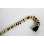 Taxidermy - A vertebrae walking stick, overall length 89 cm.