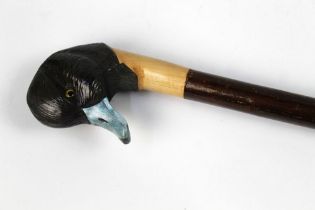 A walking stick with carved wooden handle in the form of an American blue billed duck,