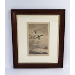 Archibald Thorburn, a signed print "Mallards and Oyster Catchers",