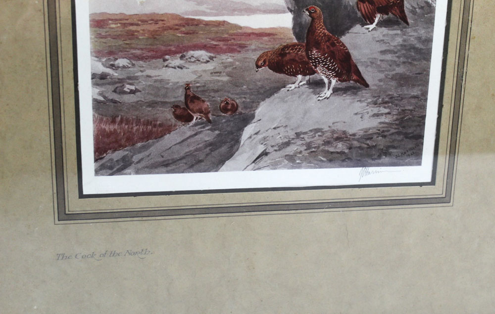 John Cyril Harrison (1898-1985), a signed print "The Cock Of The North" with red grouse, - Image 3 of 3