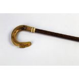 A walking stick with tup horn handle and carved thistle,