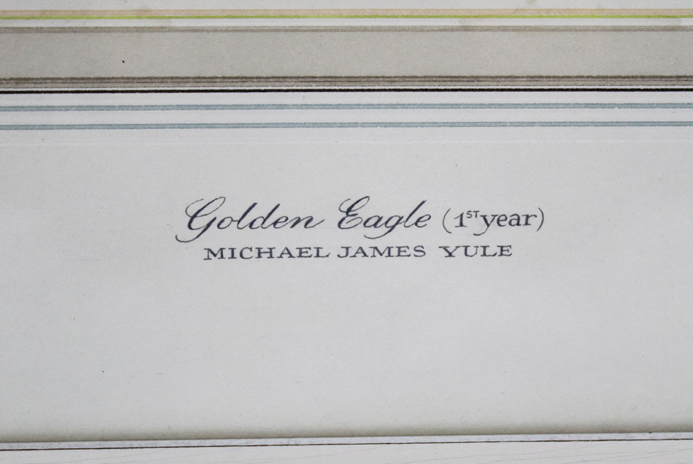 Michael James Yule, a watercolour gouache "Golden Eagle" first year dated 1971. - Image 3 of 4