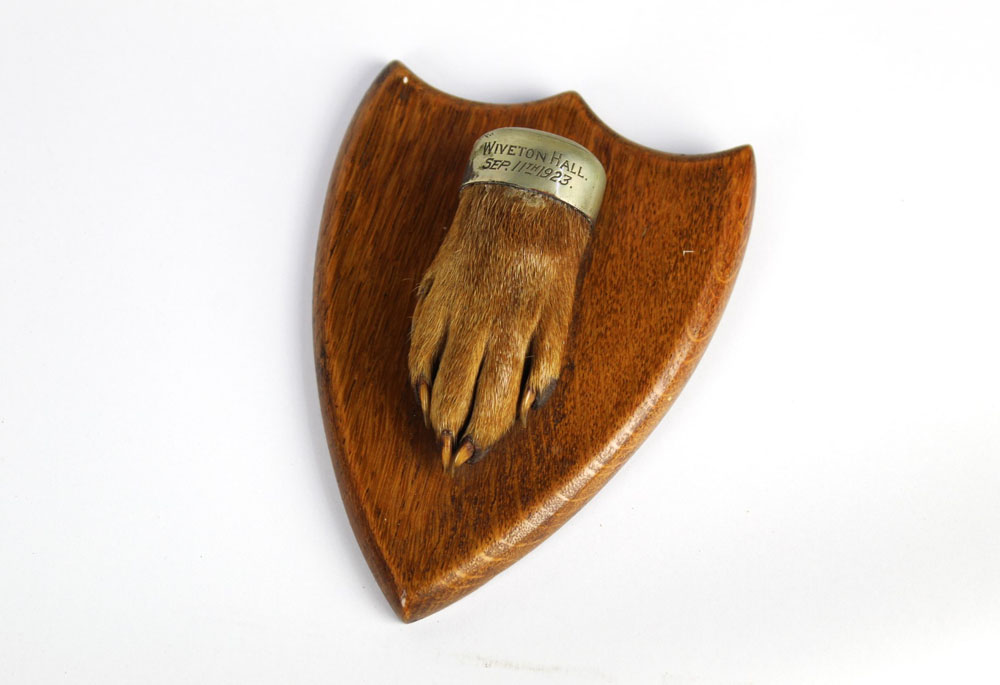 Taxidermy - An otter pad mounted on an oak shield,
