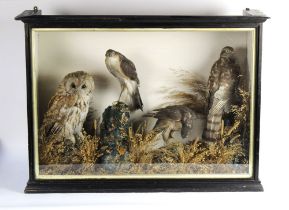 Taxidermy - A Victorian case of birds in naturalistic setting,