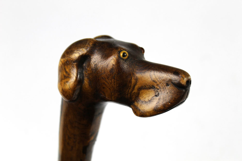 A walking stick with carved wooden handle in the form of a dog. Length 87 cm.