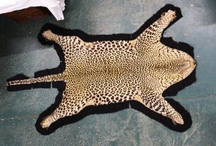 Taxidermy - A Leopard skin rug, with black felt backing. length 230 cm, width 121 cm.