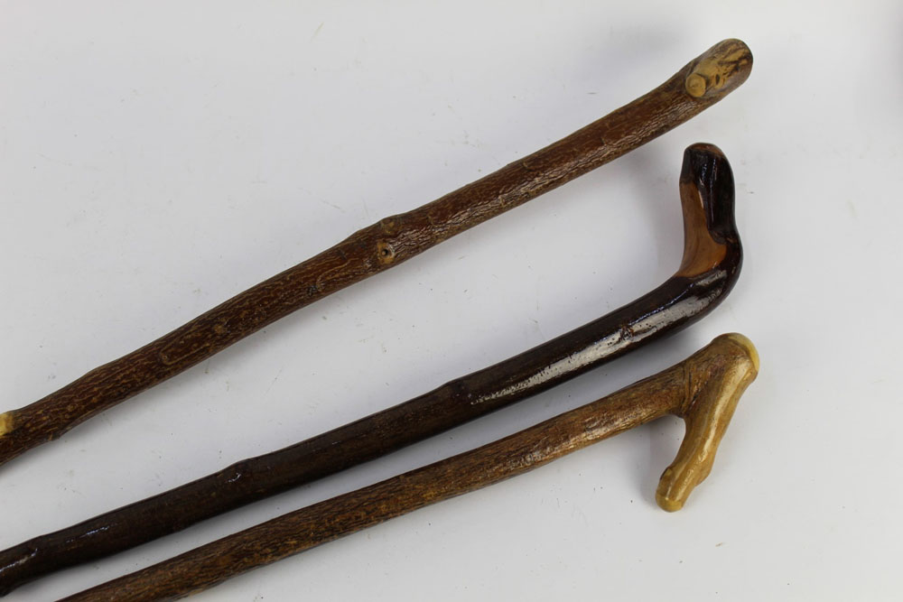 Three wooden shafted walking sticks, largest 148 cm, smallest 116 cm.